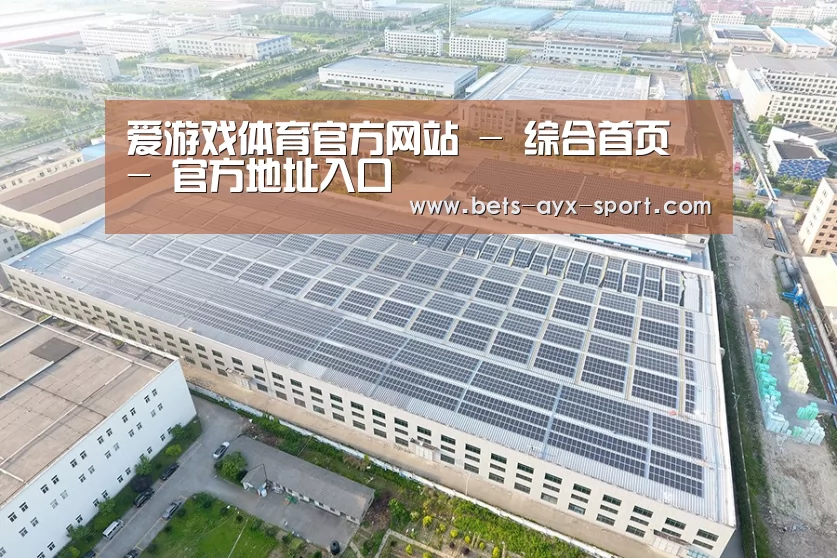 案例展示一