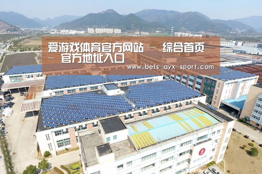 案例展示二