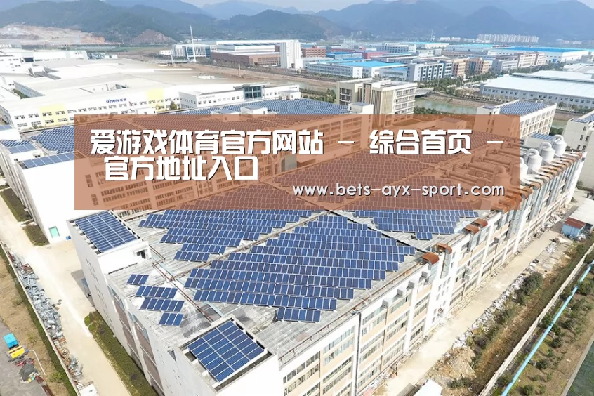 案例展示一