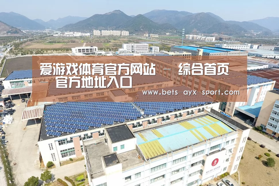 案例展示四