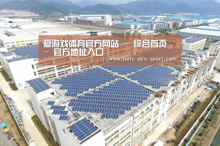 案例展示二