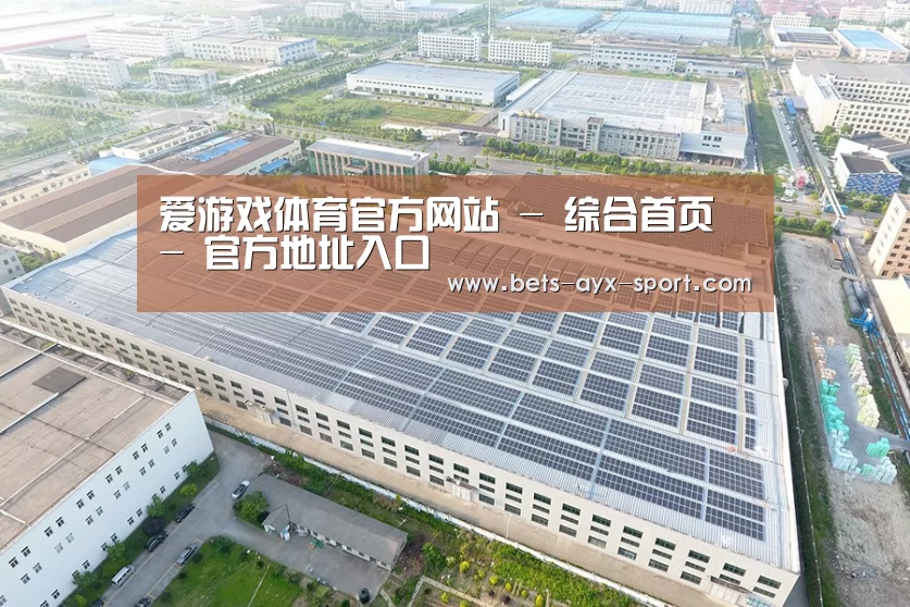 案例展示二