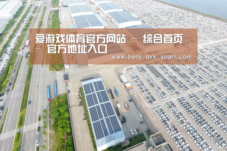 案例展示一