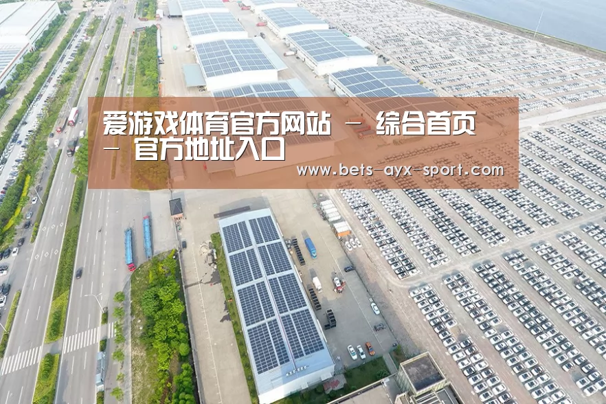 案例展示一
