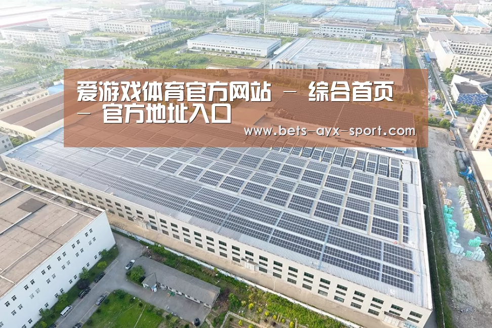 案例展示四
