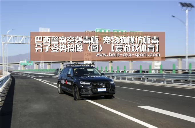 巴西警察突袭毒贩 宠物狗模仿贩毒分子姿势投降(图)【爱游戏体育】(图1) 爱游戏体育