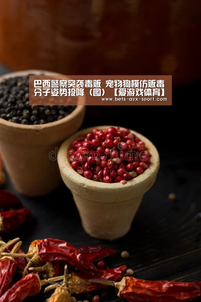 巴西警察突袭毒贩 宠物狗模仿贩毒分子姿势投降(图)【爱游戏体育】(图4) 爱游戏官网