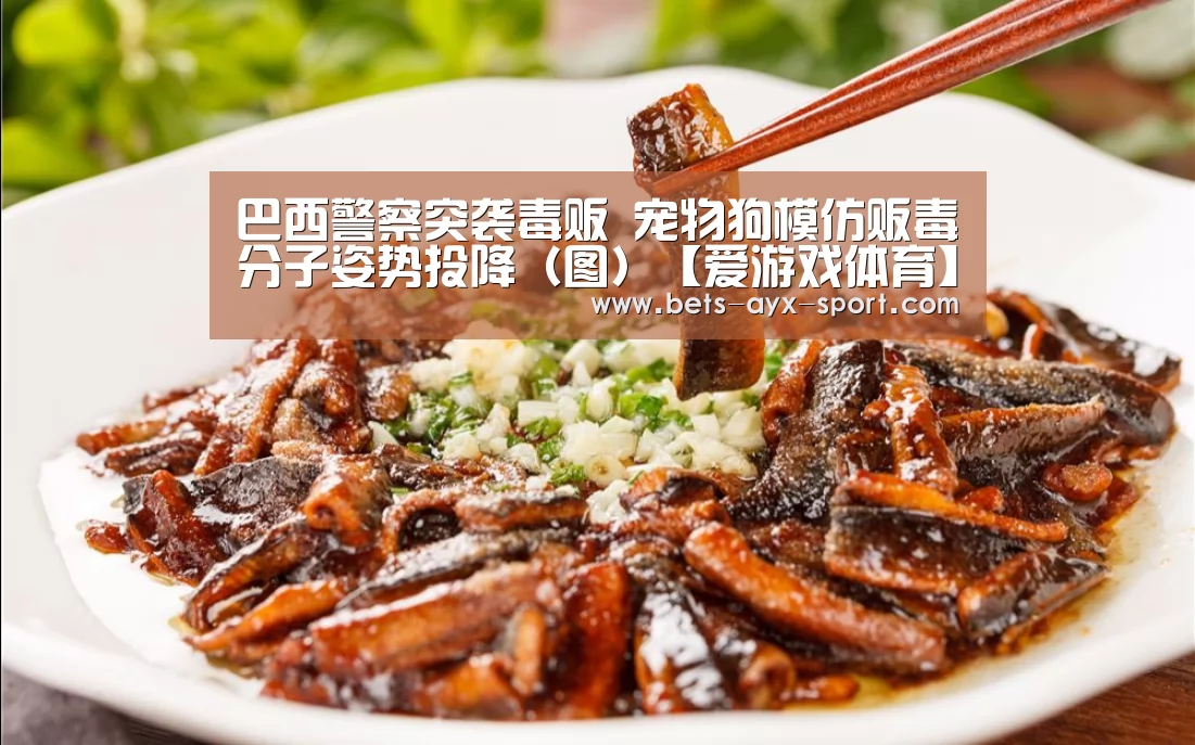 巴西警察突袭毒贩 宠物狗模仿贩毒分子姿势投降(图)【爱游戏体育】(图3) 爱游戏首页