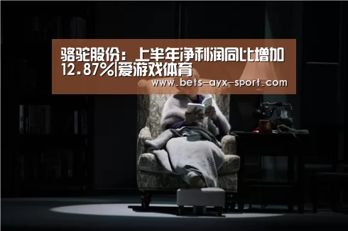 骆驼股份:上半年净利润同比增加12.87%|爱游戏体育(图3) 爱游戏首页