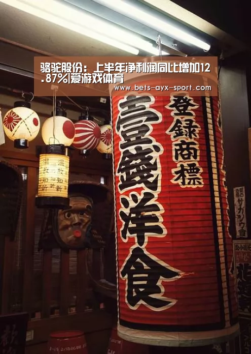 骆驼股份:上半年净利润同比增加12.87%|爱游戏体育(图2) 爱游戏体育