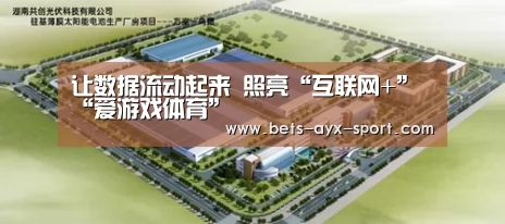 让数据流动起来 照亮“互联网+”“爱游戏体育”(图2) 爱游戏官网