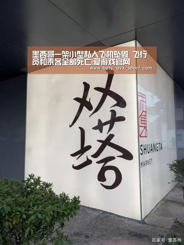 墨西哥一架小型私人飞机坠毁 飞行员和乘客全部死亡|爱游戏官网(图2) 爱游戏官网