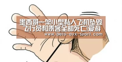 墨西哥一架小型私人飞机坠毁 飞行员和乘客全部死亡|爱游戏官网(图1) 爱游戏首页