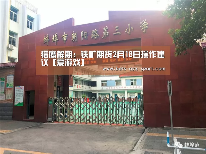 猎鹰解期:铁矿期货2月18日操作建议【爱游戏】(图3) 爱游戏官网