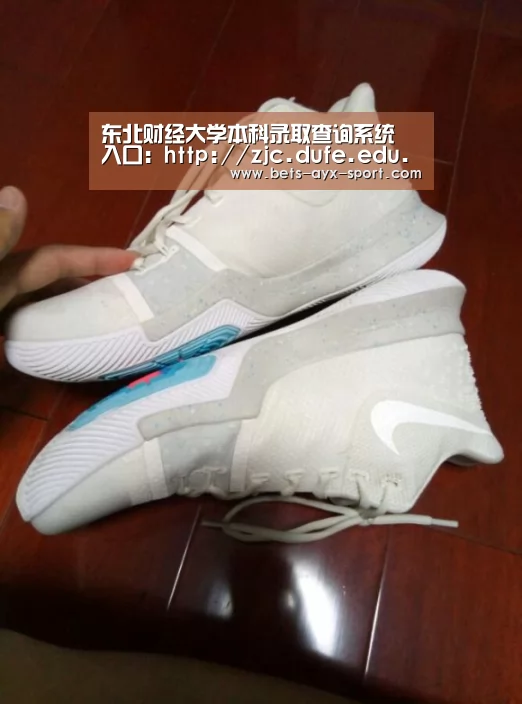 东北财经大学本科录取查询系统 入口:http://zjc.dufe.edu.cn/dacx/lqcx.php【爱游戏】(图1) 爱游戏