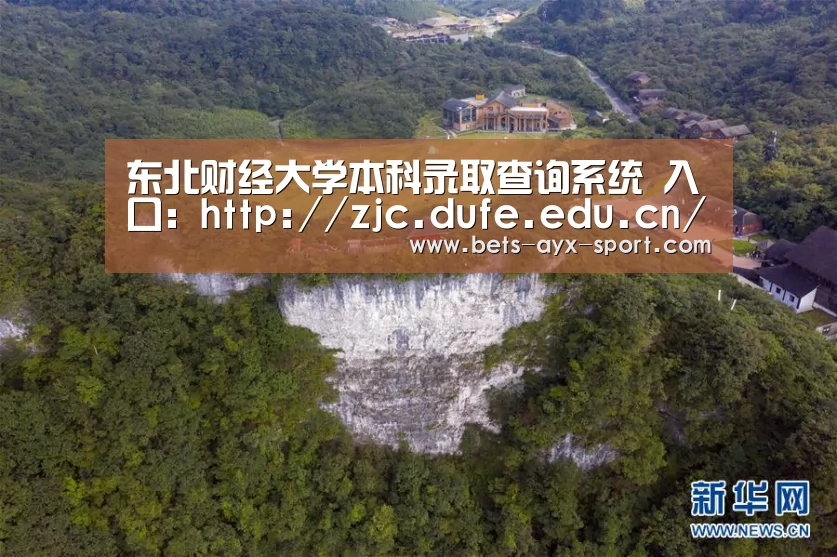 东北财经大学本科录取查询系统 入口:http://zjc.dufe.edu.cn/dacx/lqcx.php【爱游戏】(图2) 爱游戏