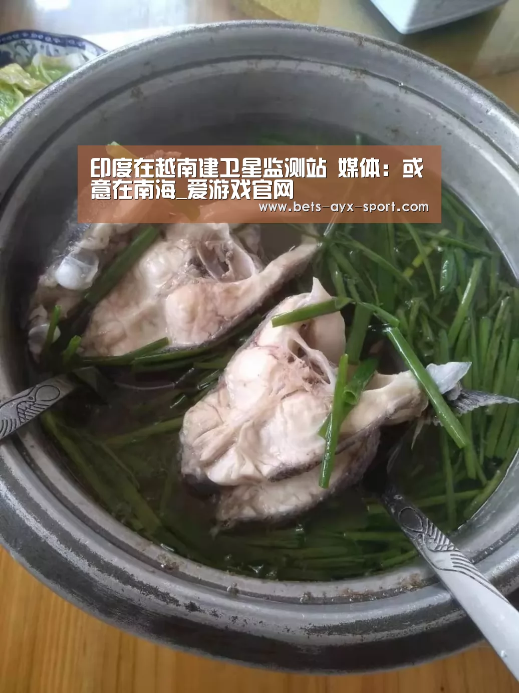 印度在越南建卫星监测站 媒体:或意在南海_爱游戏官网(图2) 爱游戏体育