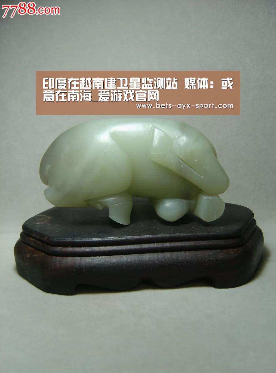 印度在越南建卫星监测站 媒体:或意在南海_爱游戏官网(图1) 爱游戏
