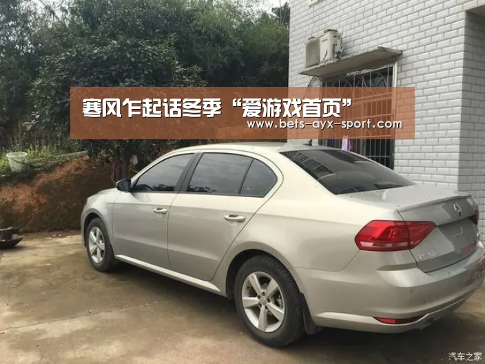 寒风乍起话冬季“爱游戏首页”(图4) 爱游戏首页