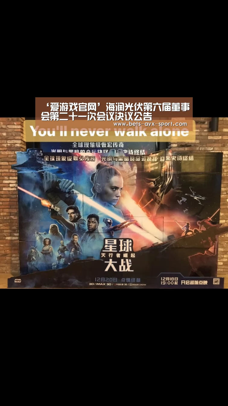 ‘爱游戏官网’海润光伏第六届董事会第二十一次会议决议公告(图1) 爱游戏官网