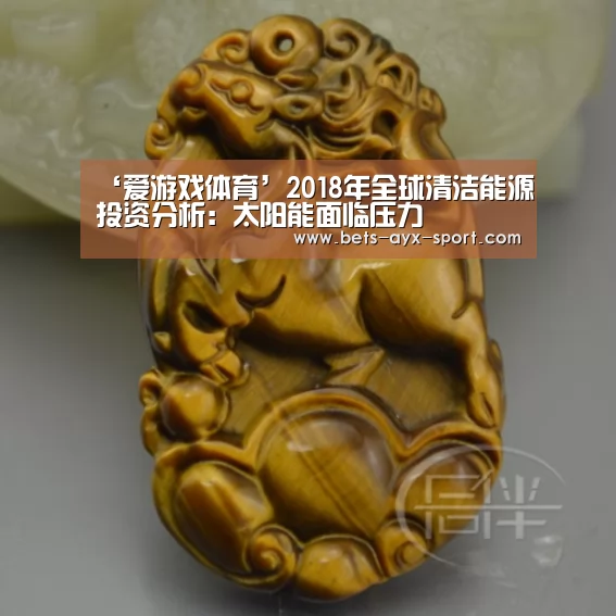 ‘爱游戏体育’2018年全球清洁能源投资