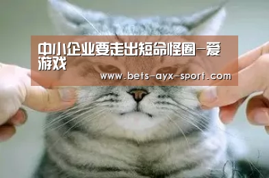 中小企业要走出短命怪圈-爱游戏(图3) 爱游戏