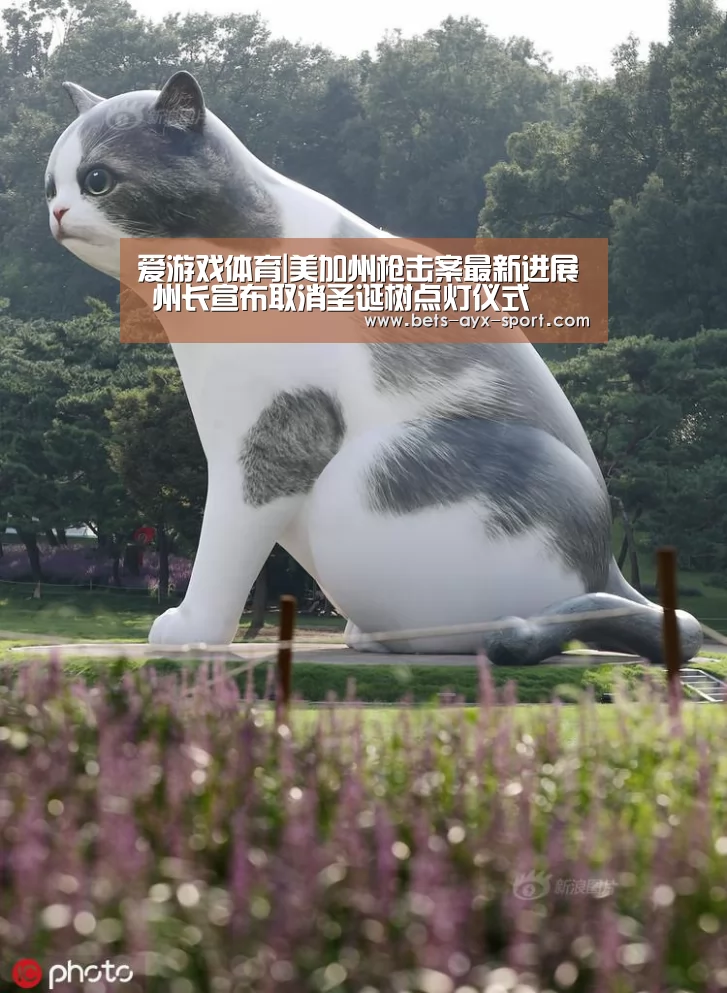 爱游戏体育|美加州枪击案最新进展 州长宣布取消圣诞树点灯仪式(图3) 爱游戏体育